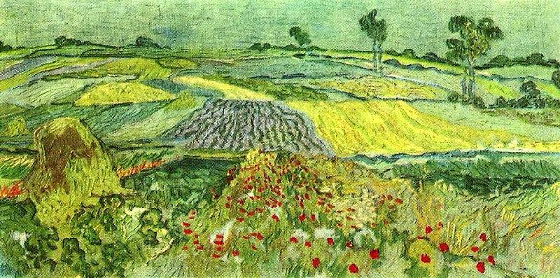 Vincent Van Gogh slatten vid auvers-sur-oise